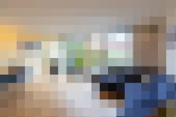 Hollandsche Tuyn 33 Delfgauw thumbnail 19