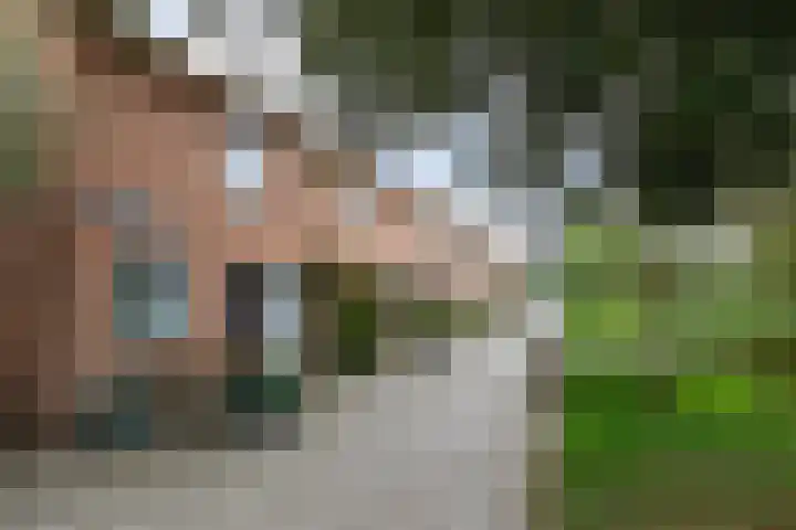 Hollandsche Tuyn 33 Delfgauw foto 2