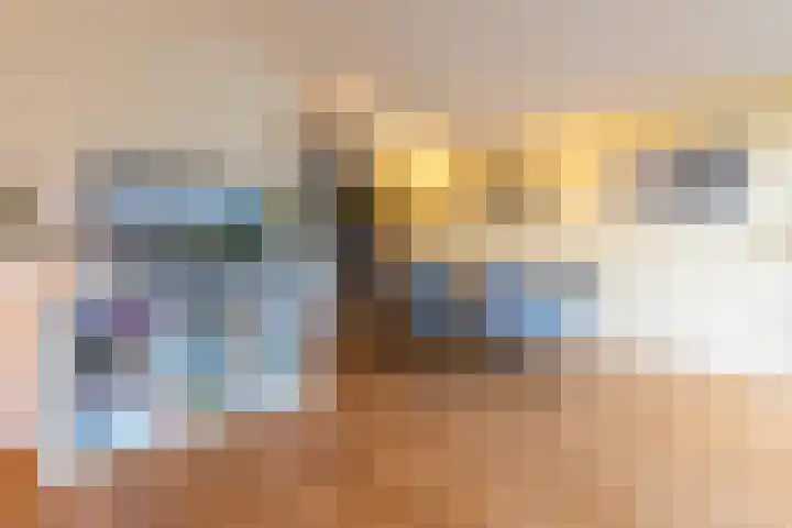 Hollandsche Tuyn 33 Delfgauw thumbnail 20