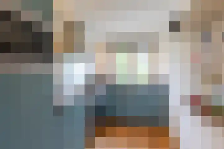 Hollandsche Tuyn 33 Delfgauw thumbnail 21