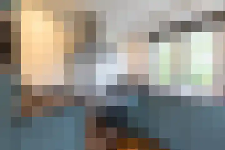 Hollandsche Tuyn 33 Delfgauw thumbnail 22