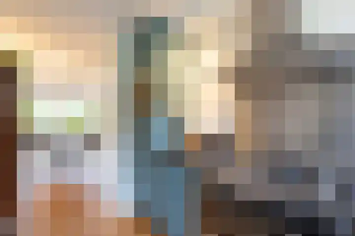 Hollandsche Tuyn 33 Delfgauw thumbnail 23