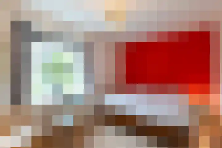 Hollandsche Tuyn 33 Delfgauw thumbnail 27