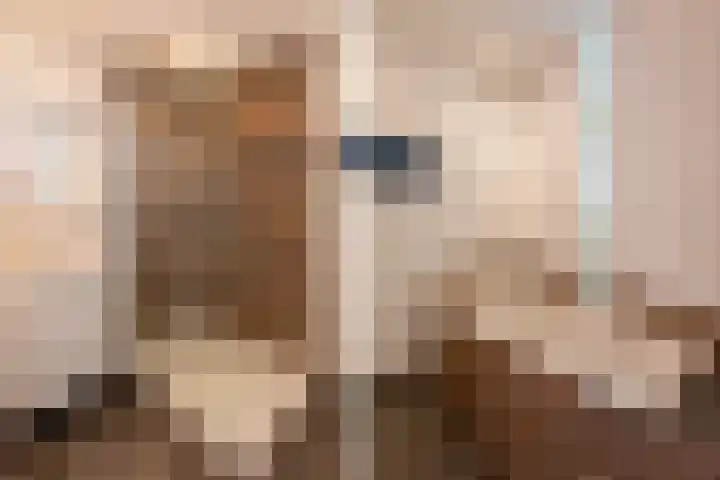 Hollandsche Tuyn 33 Delfgauw thumbnail 31