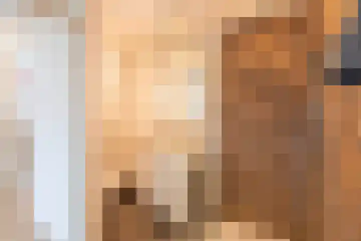 Hollandsche Tuyn 33 Delfgauw thumbnail 32