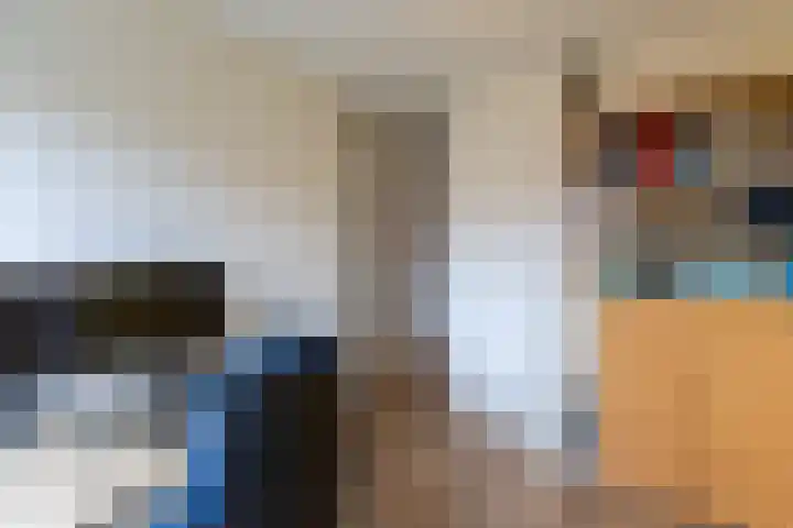 Hollandsche Tuyn 33 Delfgauw thumbnail 33