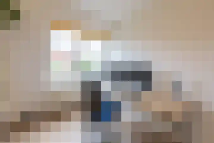 Hollandsche Tuyn 33 Delfgauw thumbnail 34