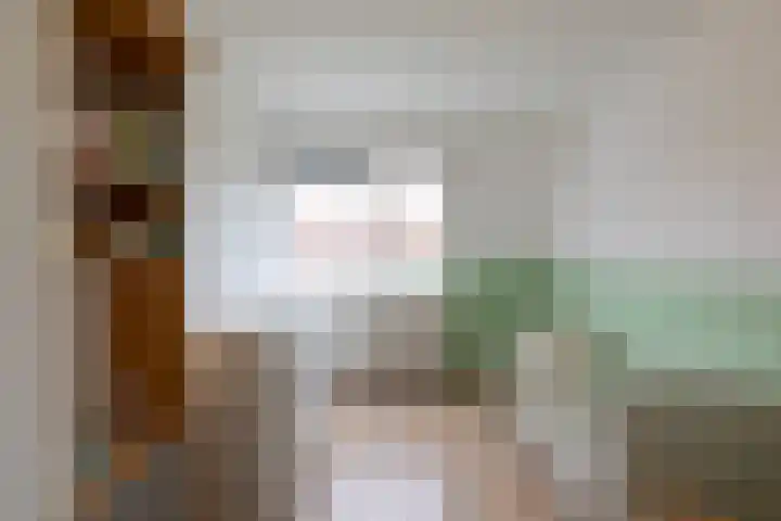 Hollandsche Tuyn 33 Delfgauw thumbnail 35