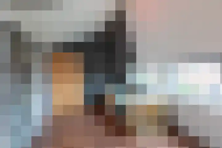 Hollandsche Tuyn 33 Delfgauw thumbnail 37