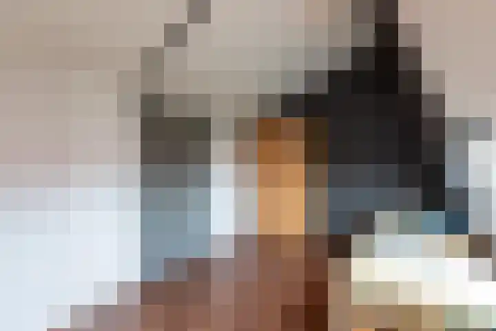 Hollandsche Tuyn 33 Delfgauw thumbnail 39