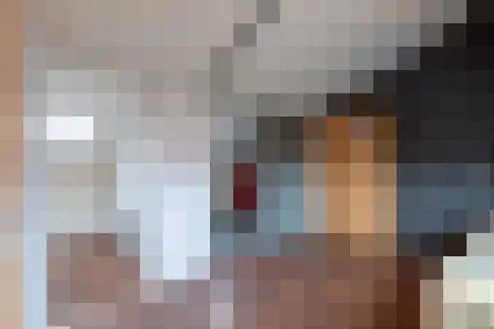Hollandsche Tuyn 33 Delfgauw thumbnail 40