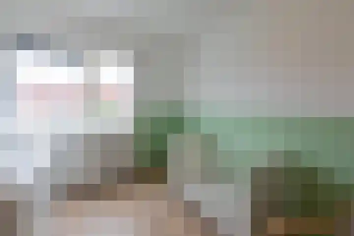 Hollandsche Tuyn 33 Delfgauw thumbnail 41