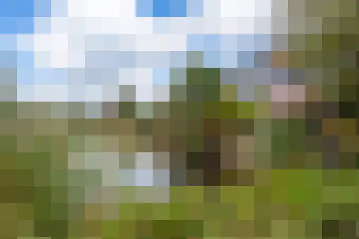 Hollandsche Tuyn 33 Delfgauw thumbnail 43