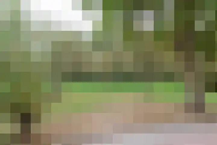 Hollandsche Tuyn 33 Delfgauw thumbnail 45