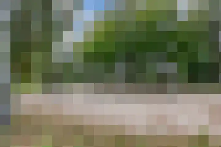 Hollandsche Tuyn 33 Delfgauw thumbnail 46