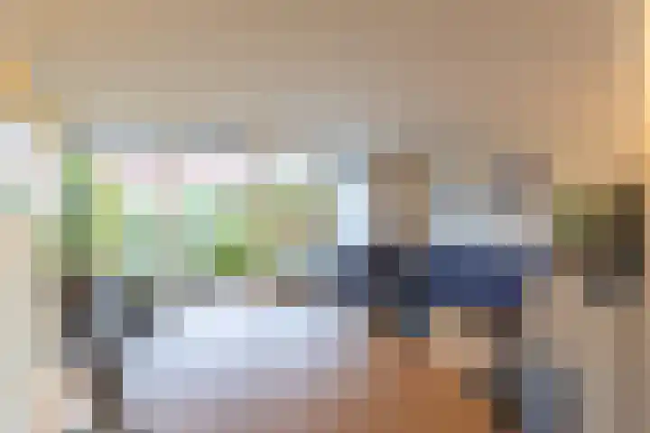 Hollandsche Tuyn 33 Delfgauw thumbnail 5