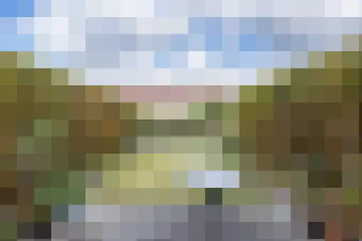 Hollandsche Tuyn 33 Delfgauw thumbnail 6