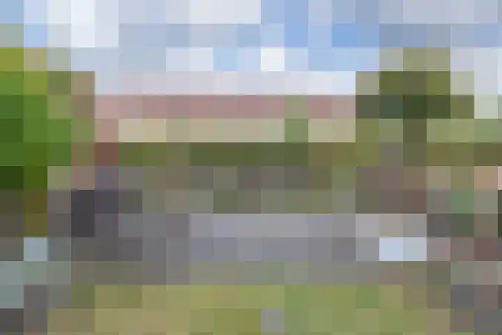 Hollandsche Tuyn 33 Delfgauw thumbnail 7