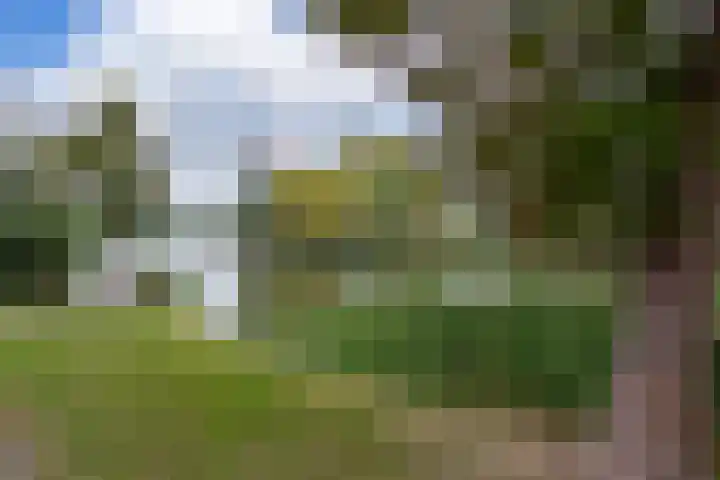 Hollandsche Tuyn 33 Delfgauw thumbnail 8