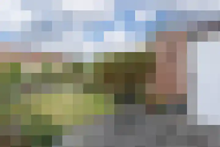 Hollandsche Tuyn 33 Delfgauw thumbnail 9