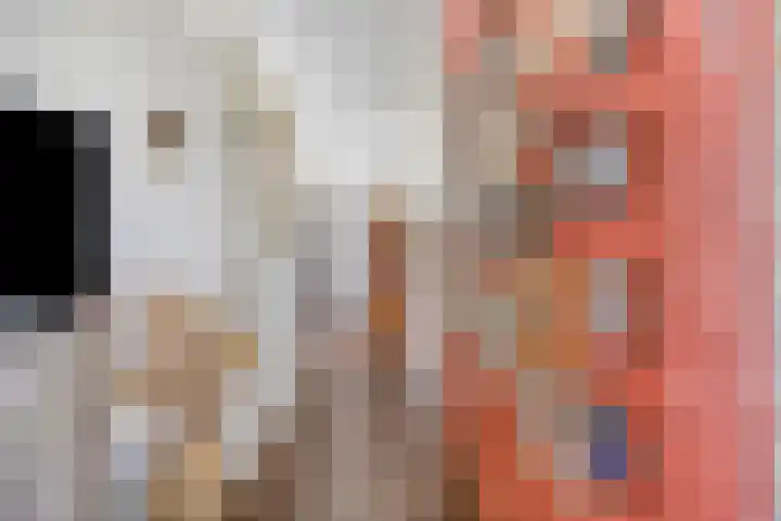 Hollandscheveldse Opg 1 b Hollandscheveld thumbnail 10