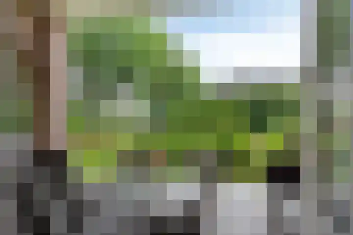 Hollandscheveldse Opg 1 b Hollandscheveld thumbnail 13