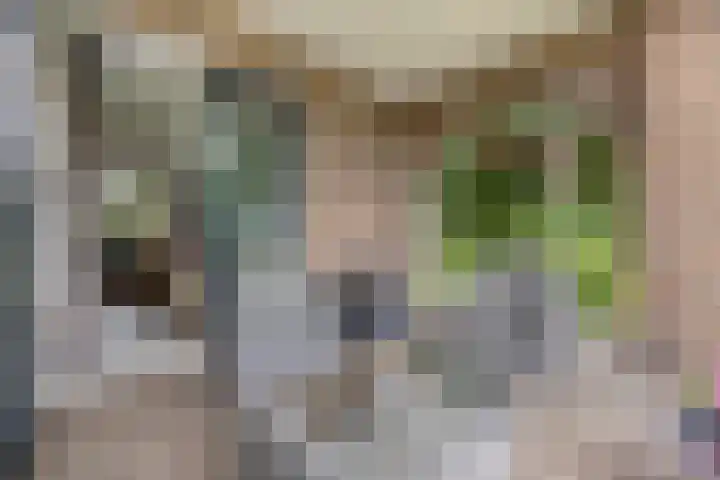 Hollandscheveldse Opg 1 b Hollandscheveld thumbnail 14