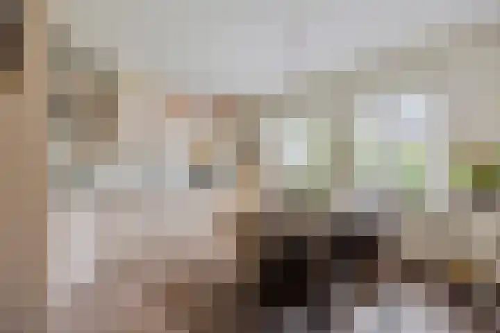 Hollandscheveldse Opg 1 b Hollandscheveld thumbnail 15