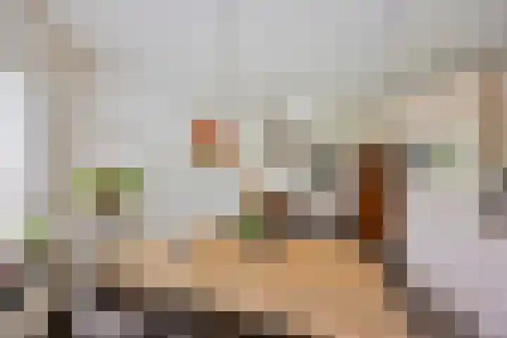 Hollandscheveldse Opg 1 b Hollandscheveld thumbnail 16