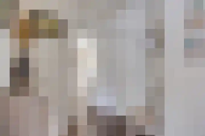 Hollandscheveldse Opg 1 b Hollandscheveld thumbnail 19