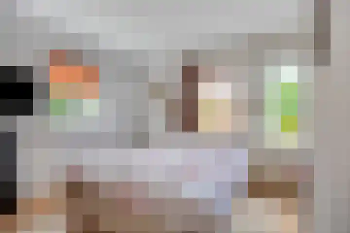 Hollandscheveldse Opg 1 b Hollandscheveld thumbnail 24