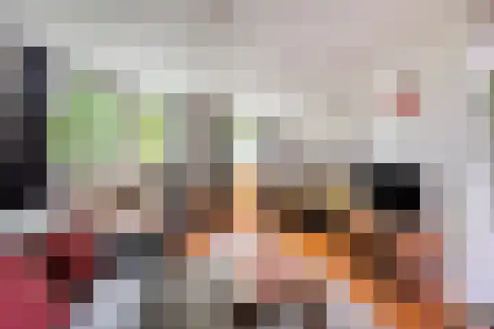 Hollandscheveldse Opg 1 b Hollandscheveld thumbnail 32