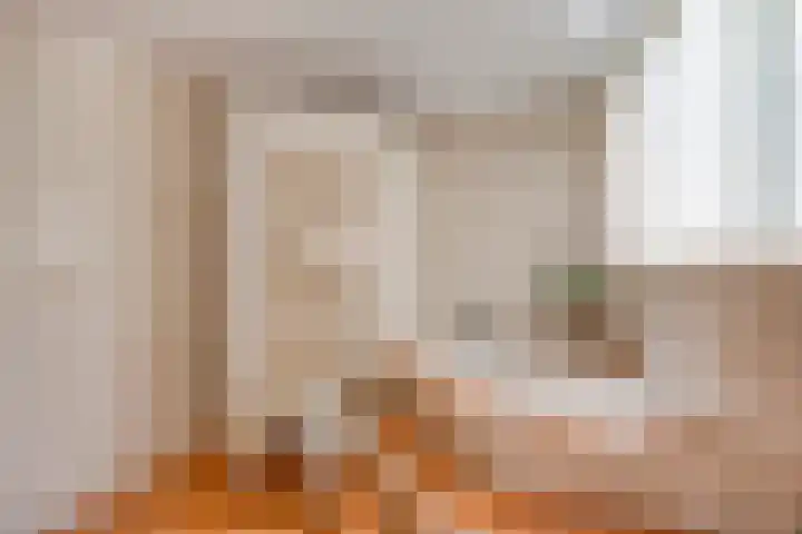 Hollandscheveldse Opg 1 b Hollandscheveld thumbnail 42