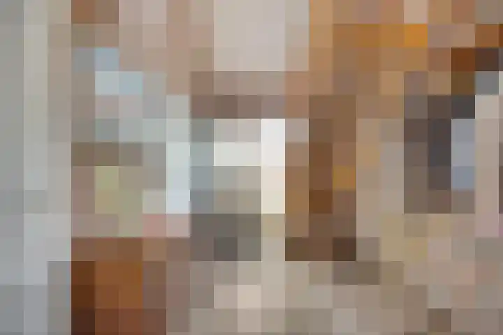 Hollandscheveldse Opg 1 b Hollandscheveld thumbnail 5