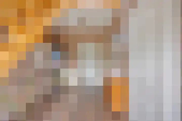 Hollandscheveldse Opg 1 b Hollandscheveld thumbnail 6