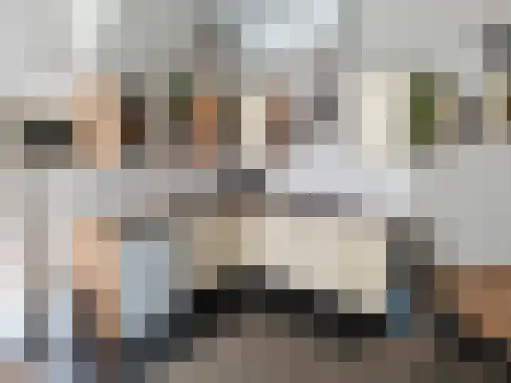 Hollandscheveldse Opg 1 b Hollandscheveld thumbnail 60