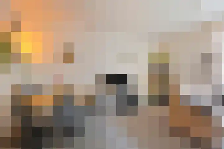 Hollandscheveldse Opg 1 b Hollandscheveld thumbnail 61
