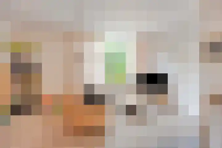 Hollandscheveldse Opg 1 b Hollandscheveld thumbnail 62