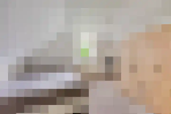 Hollandscheveldse Opg 1 b Hollandscheveld thumbnail 64