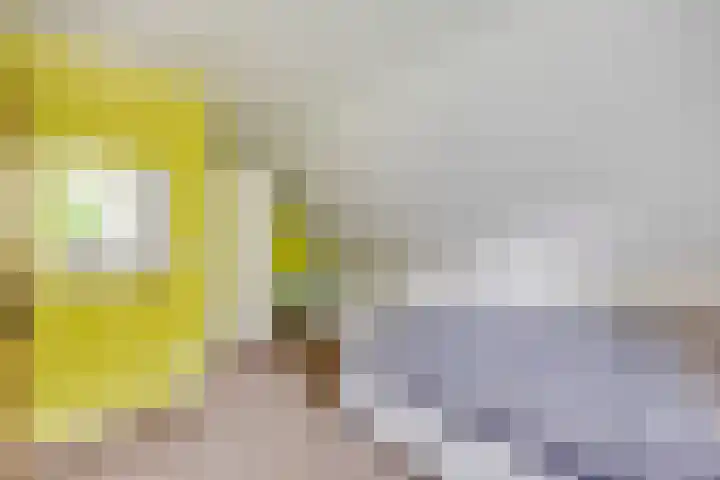 Hollandscheveldse Opg 1 b Hollandscheveld thumbnail 65