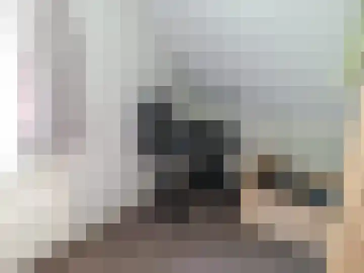 Hollandscheveldse Opg 1 b Hollandscheveld thumbnail 67