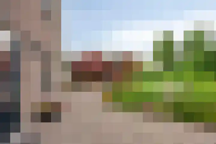 Hollandscheveldse Opg 1 b Hollandscheveld thumbnail 68