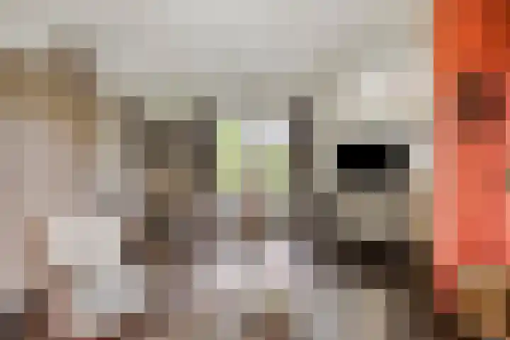 Hollandscheveldse Opg 1 b Hollandscheveld thumbnail 7