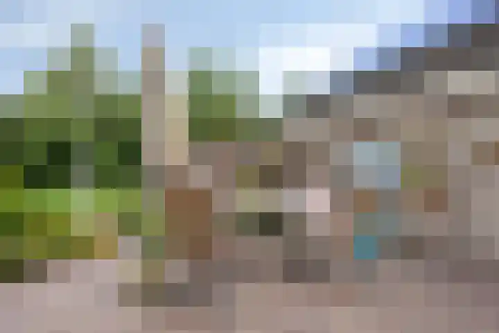 Hollandscheveldse Opg 1 b Hollandscheveld thumbnail 71