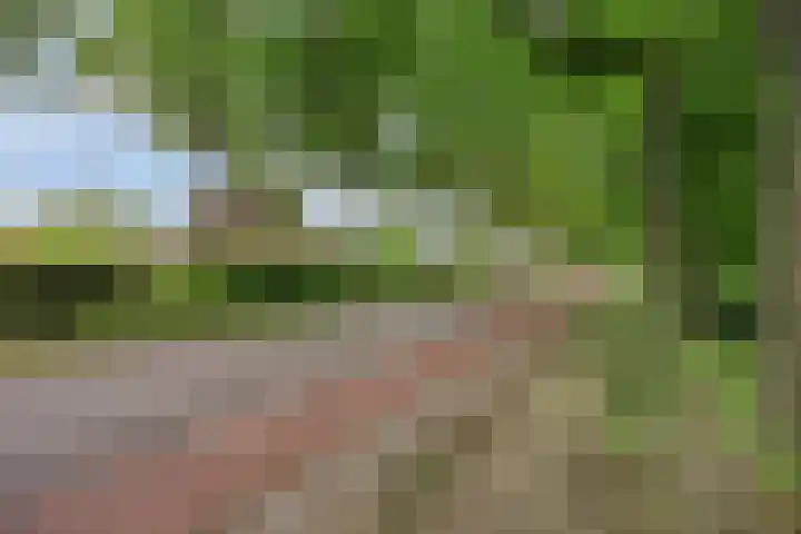 Hollandscheveldse Opg 1 b Hollandscheveld thumbnail 72