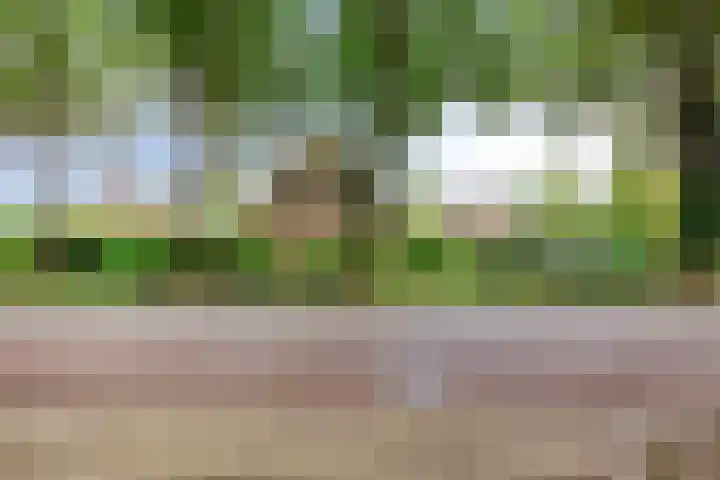 Hollandscheveldse Opg 1 b Hollandscheveld thumbnail 73