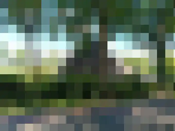 Hollandscheveldse Opg 1 b Hollandscheveld thumbnail 75