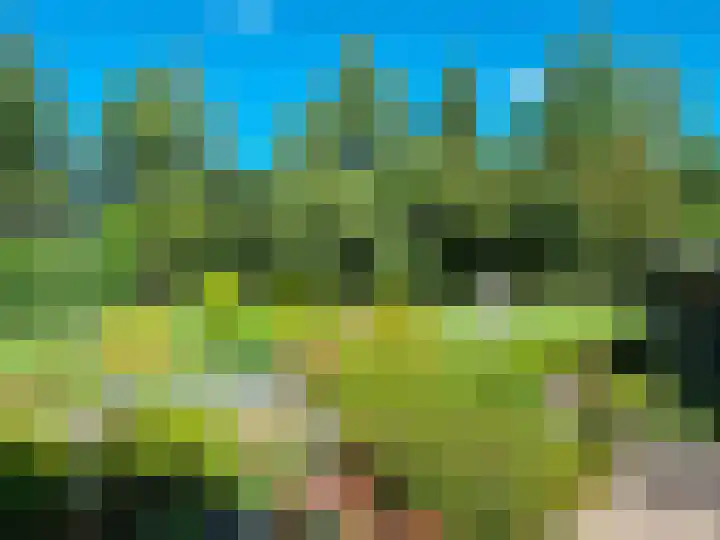Hollandscheveldse Opg 1 b Hollandscheveld thumbnail 81