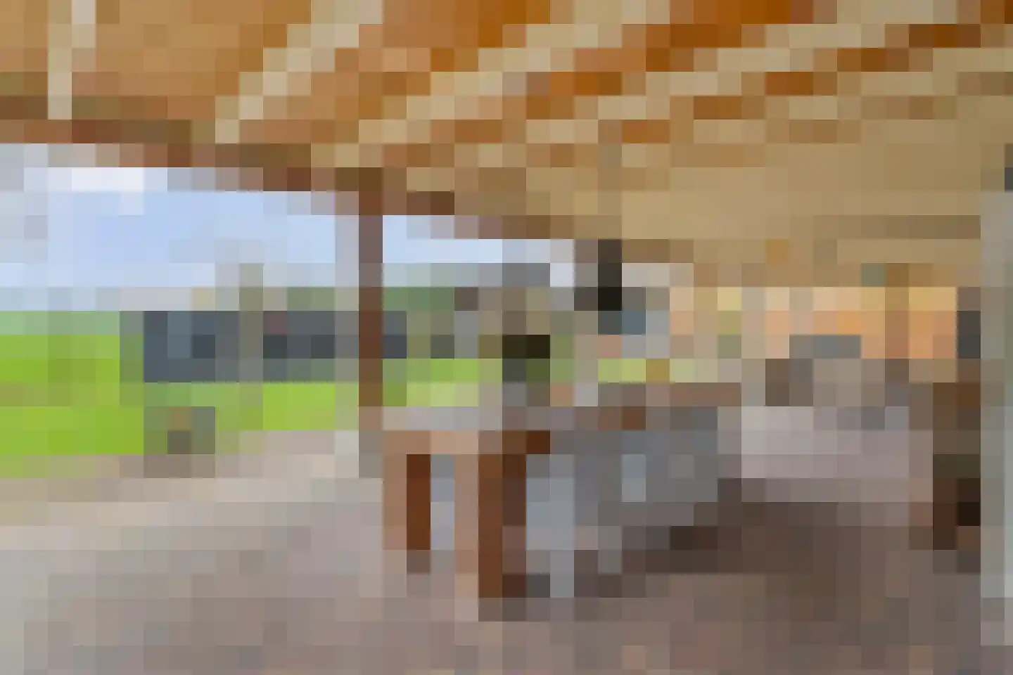 Hollandscheveldse Opg 99 a Hollandscheveld thumbnail 100