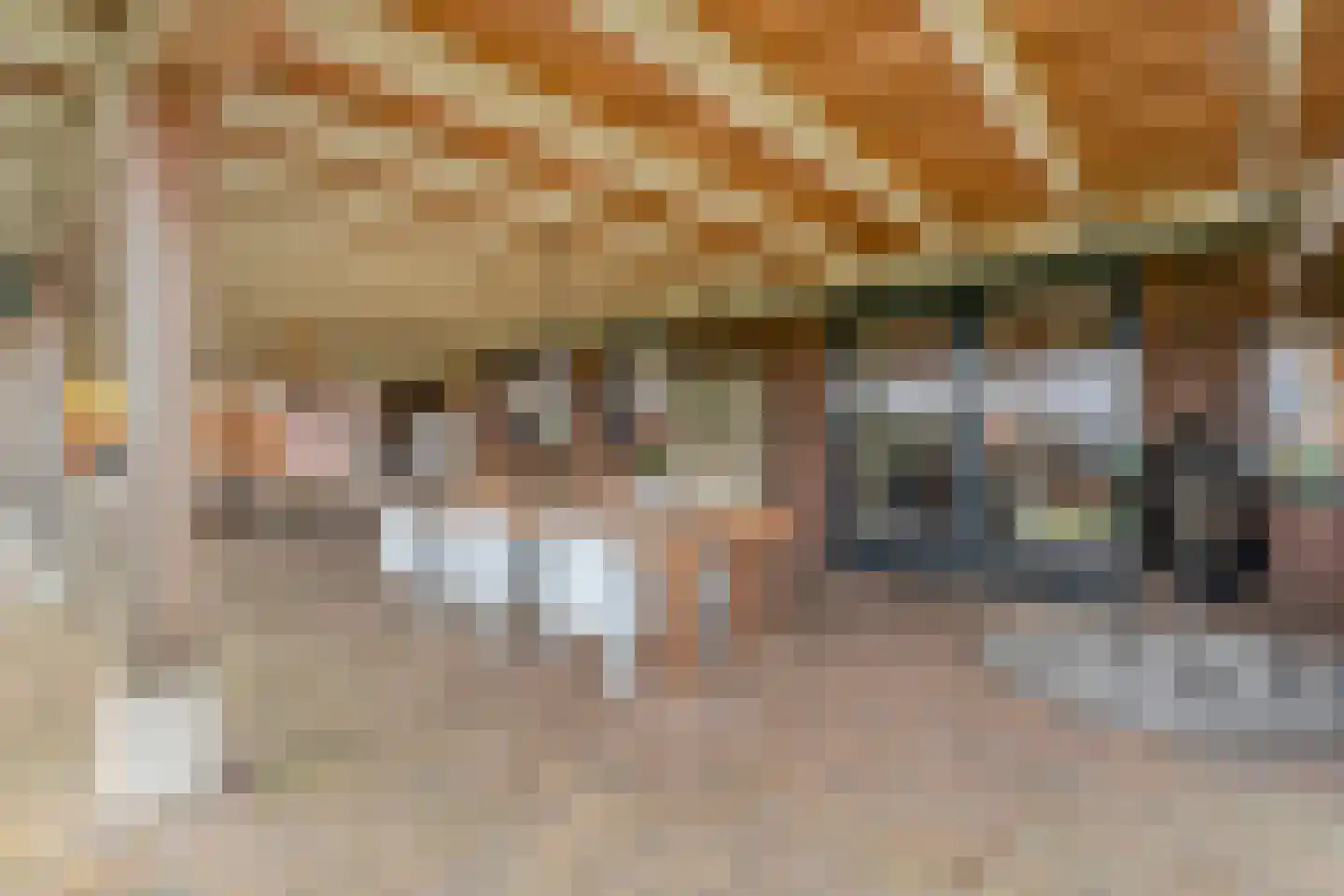 Hollandscheveldse Opg 99 a Hollandscheveld thumbnail 101